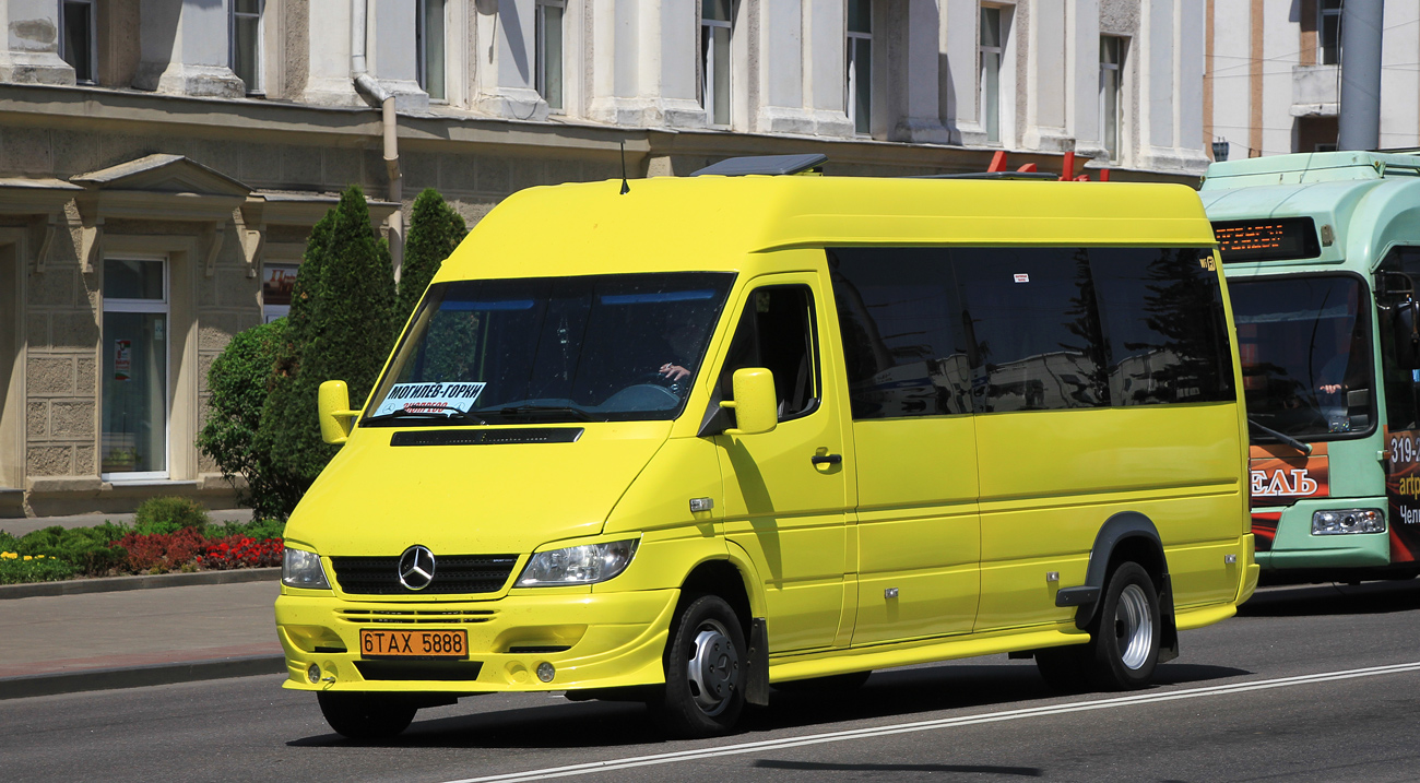 Могилёвская область, Бус-Мастер 5018 (MB Sprinter) № 6 ТАХ 5888