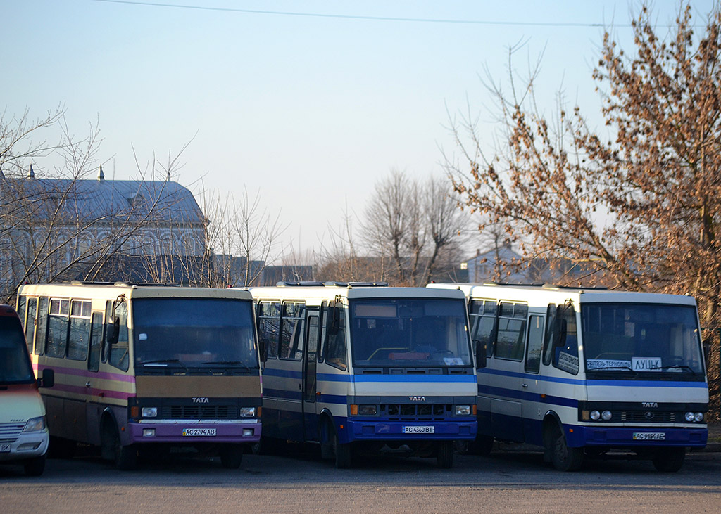 Волынская область, БАЗ-А079.20 "Эталон" № AC 2794 AB; Волынская область, Эталон А079.34 "Мальва" № AC 4360 BI; Волынская область, БАЗ-А079.23 "Мальва" № AC 9154 AE; Волынская область — Разные фотографии
