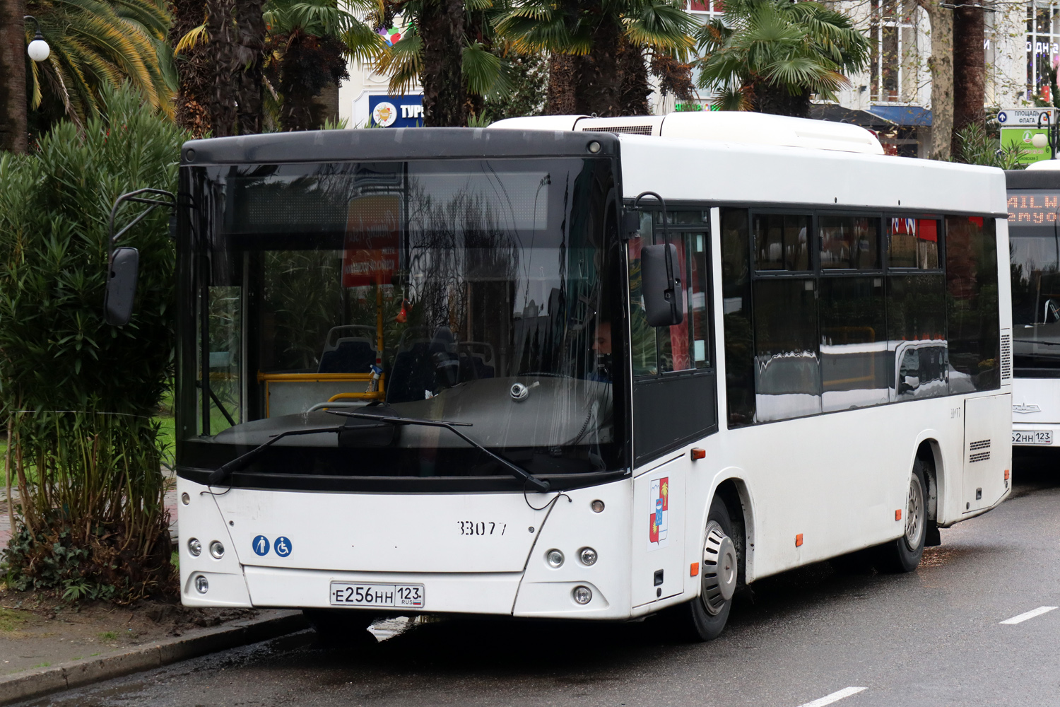 Краснодарский край, МАЗ-206.086 № 33077