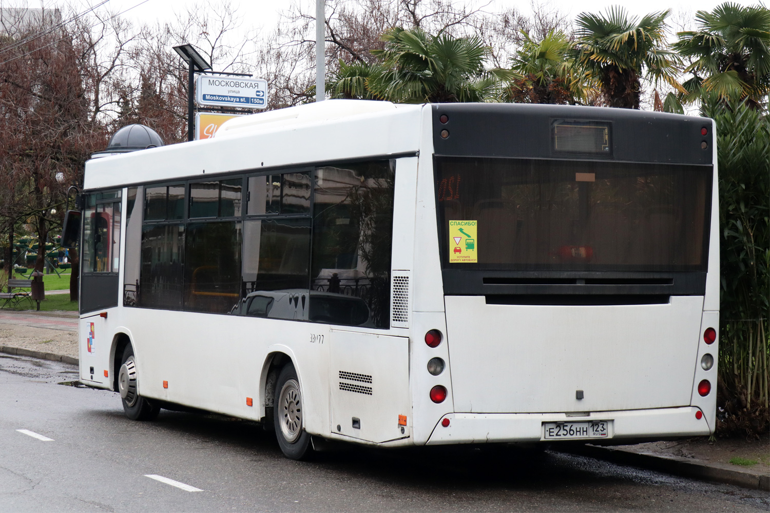 Краснодарский край, МАЗ-206.086 № 33077