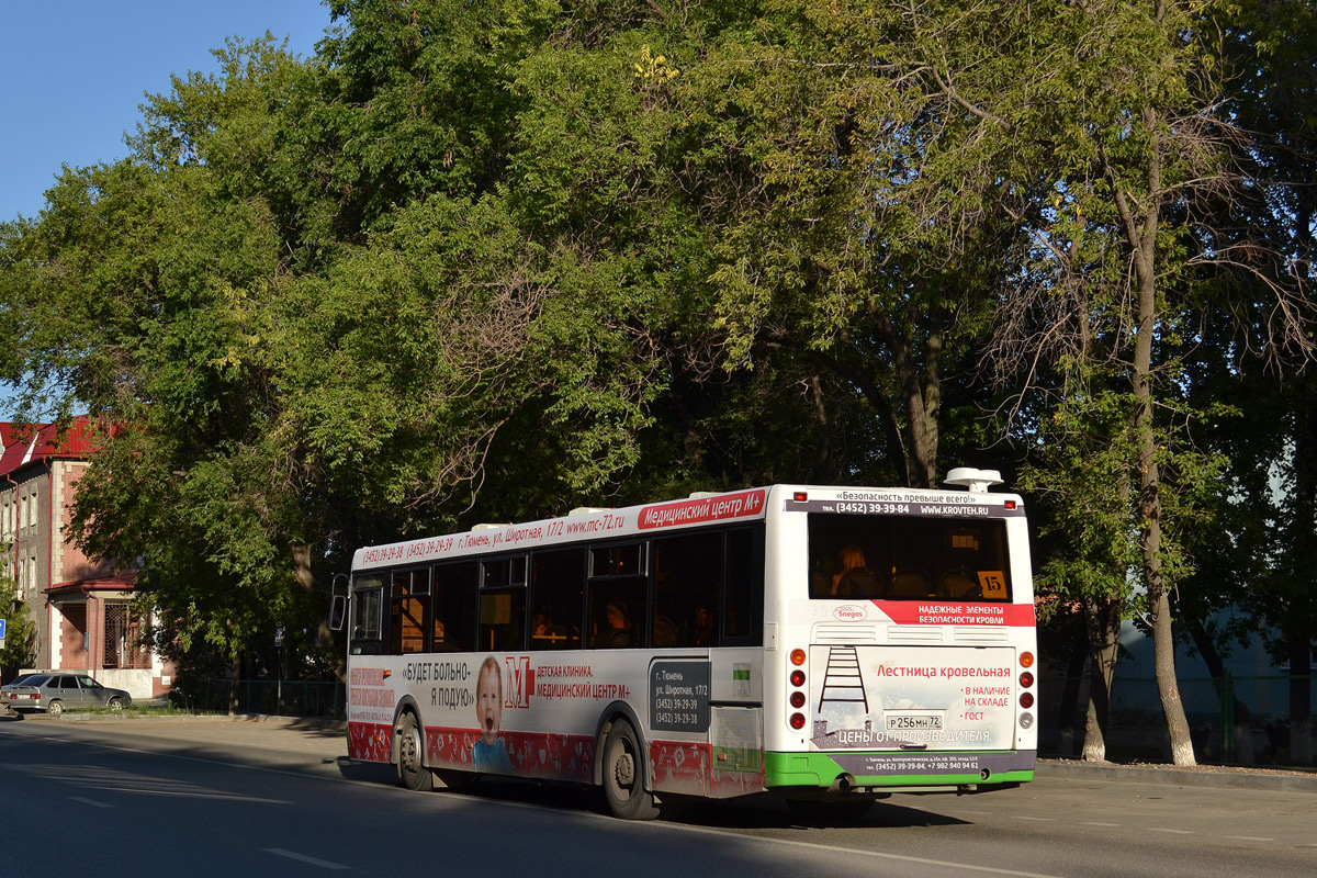 Tumen region, LiAZ-5293.53 # 359