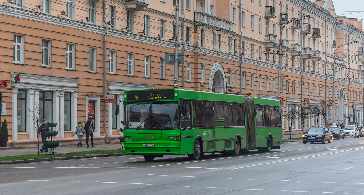 Гомельская область, МАЗ-105.065 № 25593