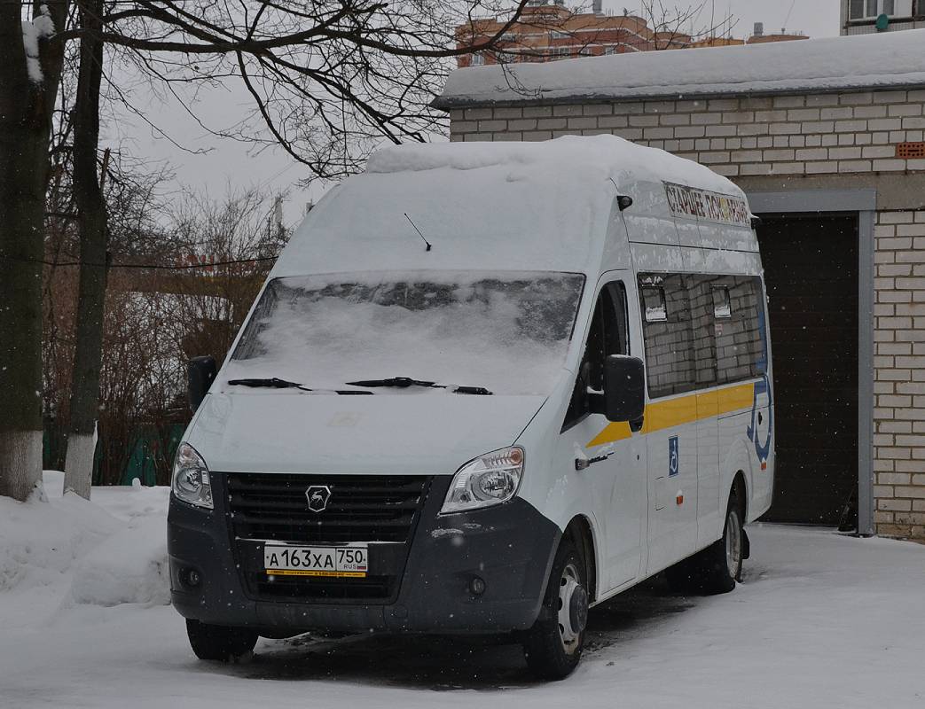 Московская область, Луидор-2250DF (ГАЗ Next) № А 163 ХА 750