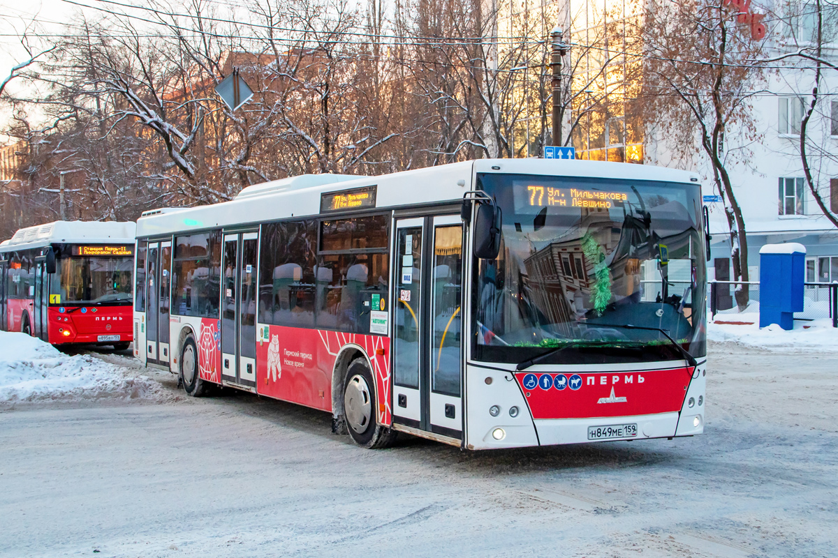 Пермский край, МАЗ-203.016 № Н 849 МЕ 159