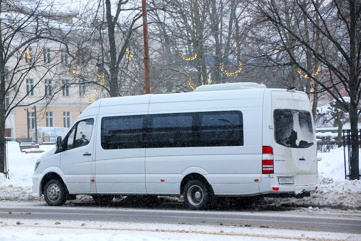 Санкт-Петербург, Луидор-223602 (MB Sprinter) № У 838 ВВ 178
