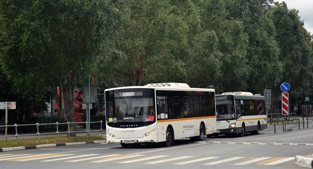 Московская область, Volgabus-5270.0H № К 288 СР 750