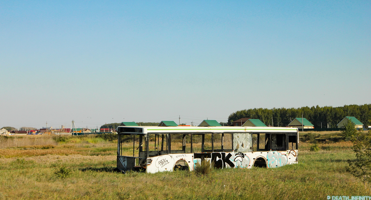 Новосибирская область, ЛиАЗ-5292.20 № У 644 ВР 55