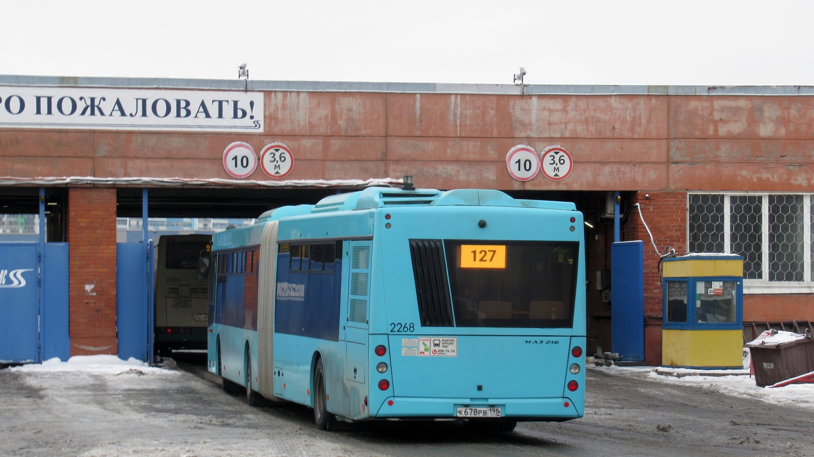 Sankt Petersburg, MAZ-216.066 Nr. 2268