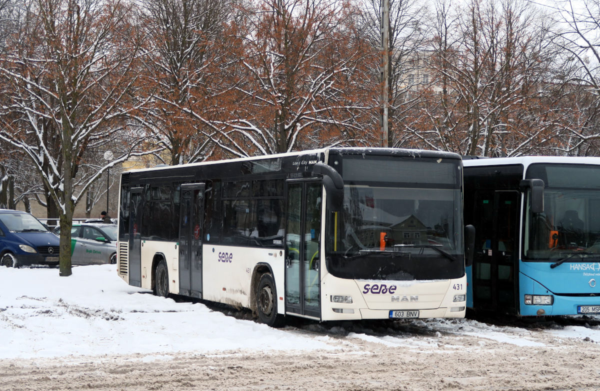 Эстония, MAN A78 Lion's City LE EL293 № 431