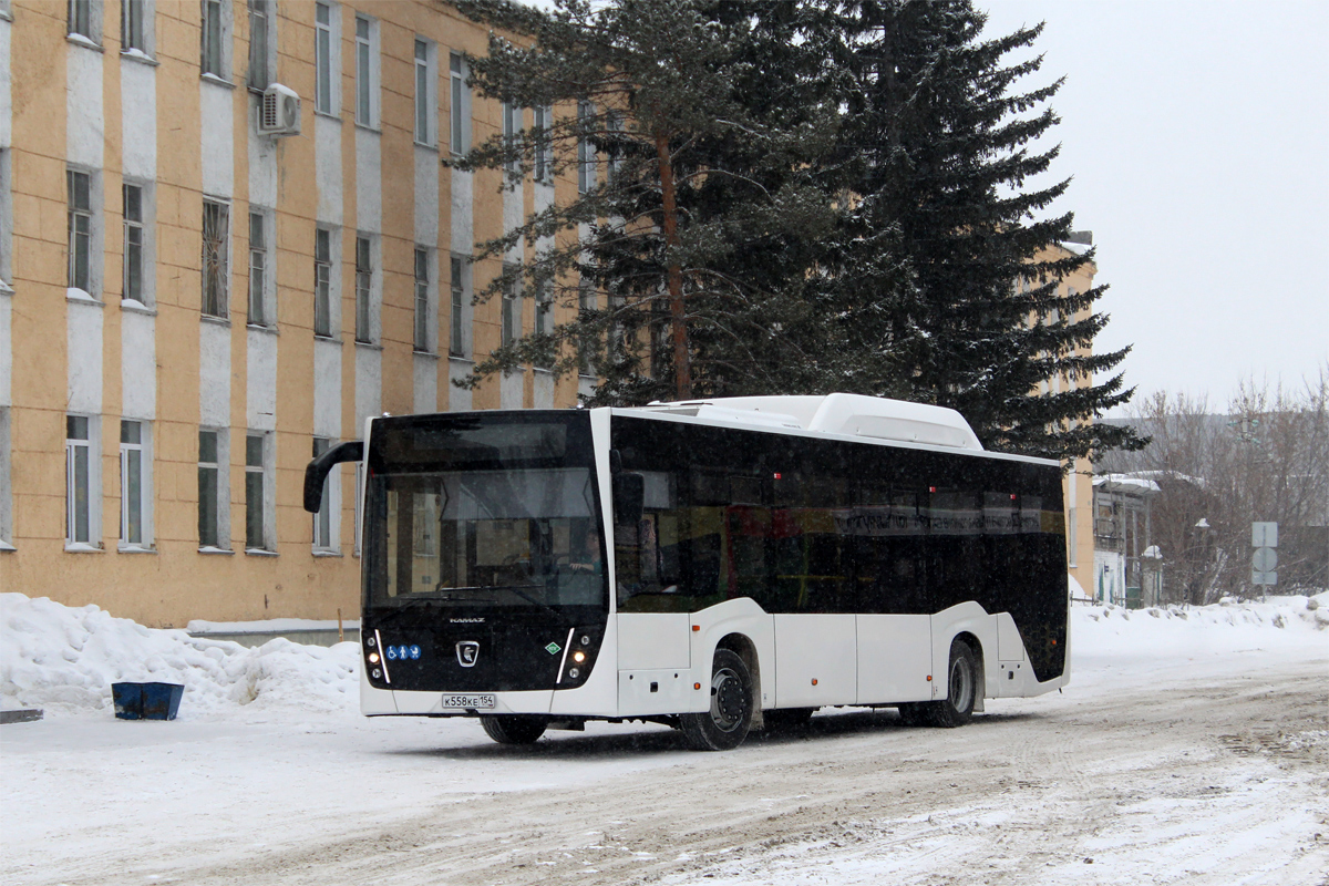 Новосибирская область, НефАЗ-5299-30-57 № 12064