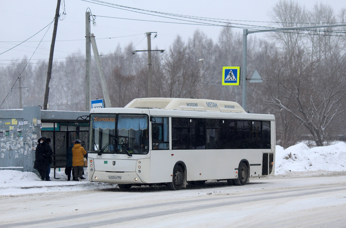 Новосибирская область, НефАЗ-5299-30-51 № Е 225 НХ 154