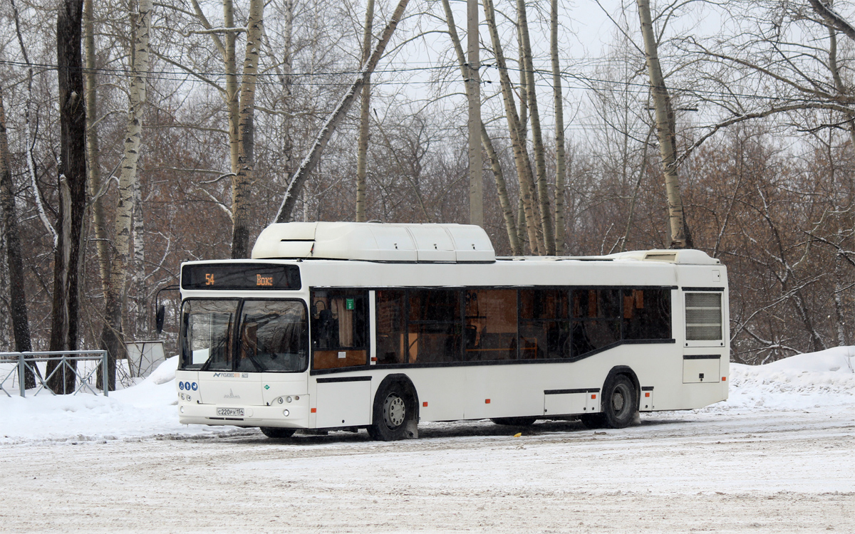 Новосибирская область, МАЗ-103.965 № 11011