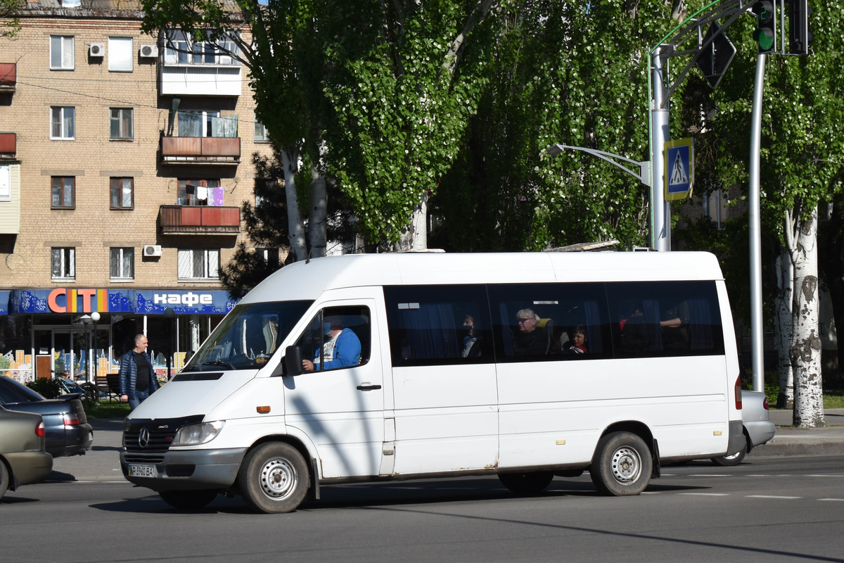 Запорожская область, Mercedes-Benz Sprinter W903 308D № AP 5960 BA