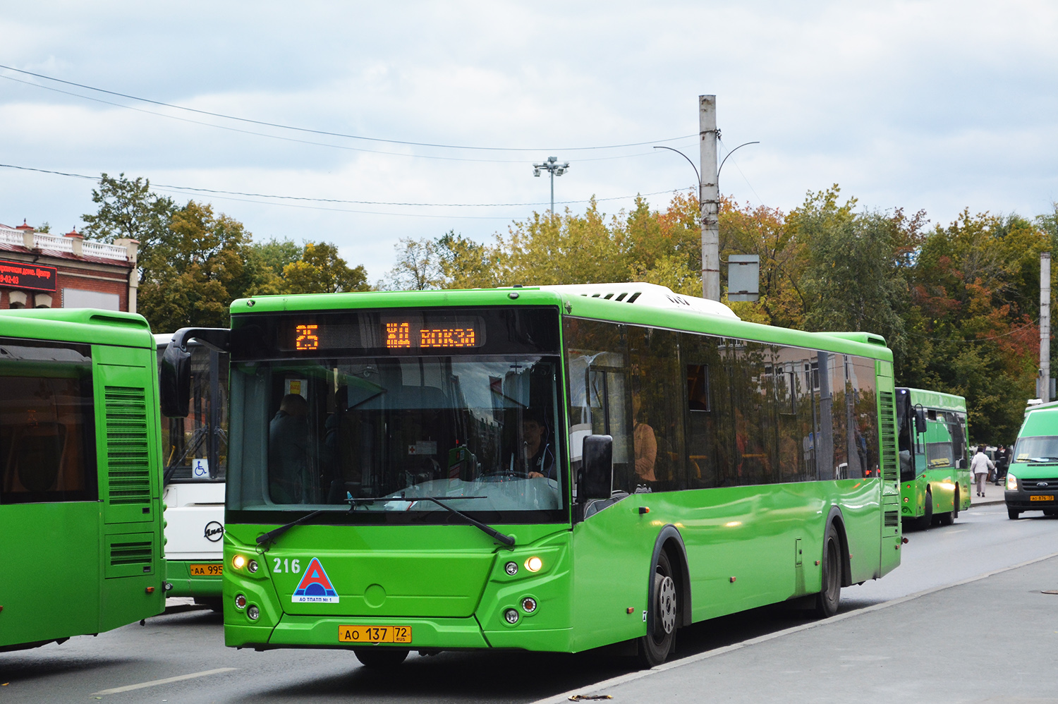 Tumen region, LiAZ-5292.65 # 216