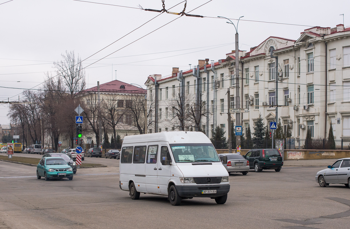 Запорожская область, Mercedes-Benz Sprinter W903 308D № AP 3074 BX