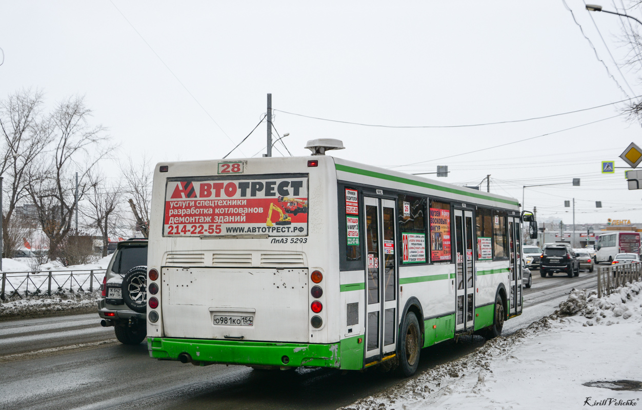 Новосибирская область, ЛиАЗ-5293.60 № О 981 КО 154