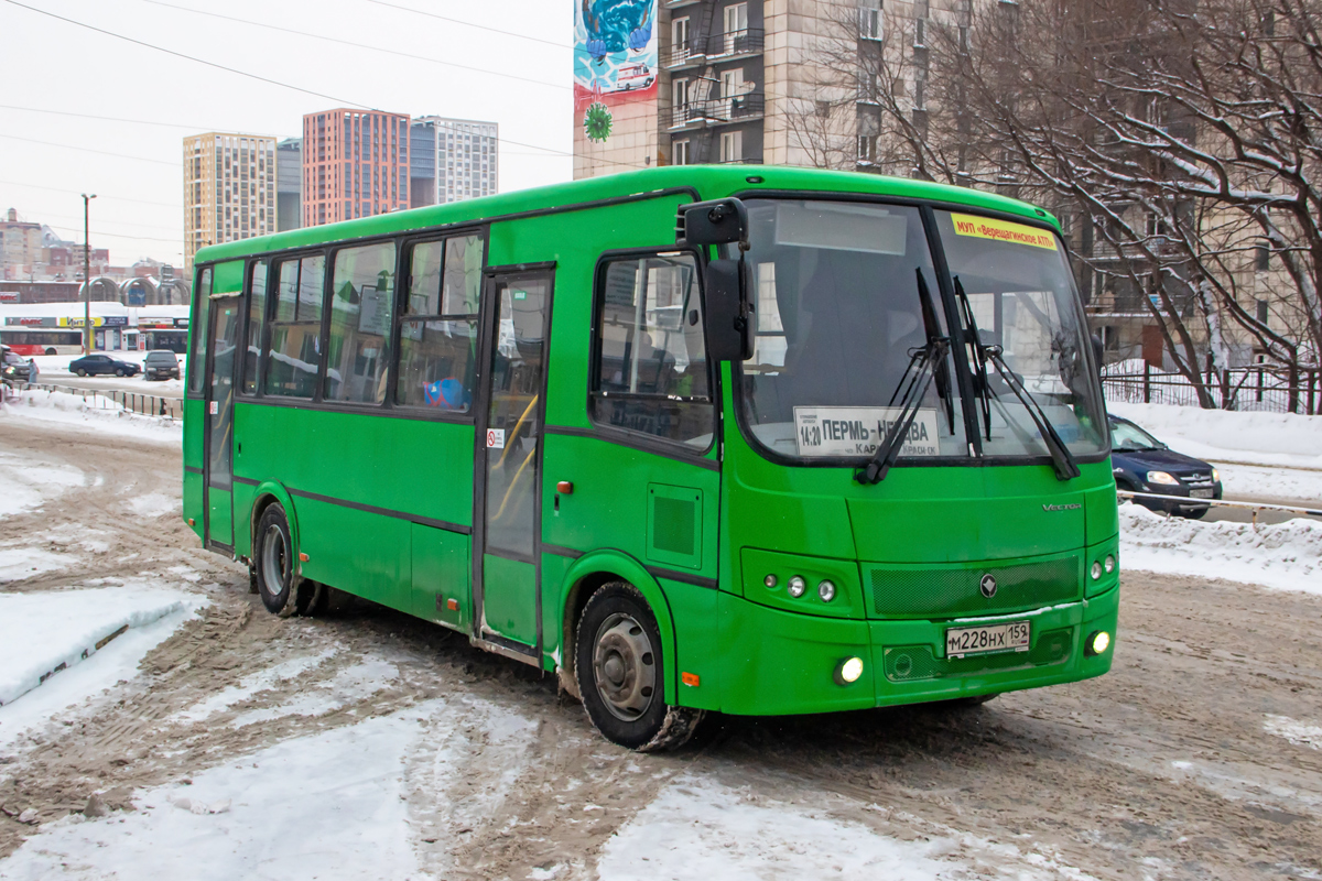 Пермский край, ПАЗ-320412-04 № М 228 НХ 159