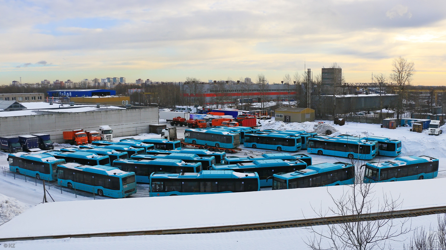 Saint Petersburg — Miscellaneous photos; Saint Petersburg — New buses