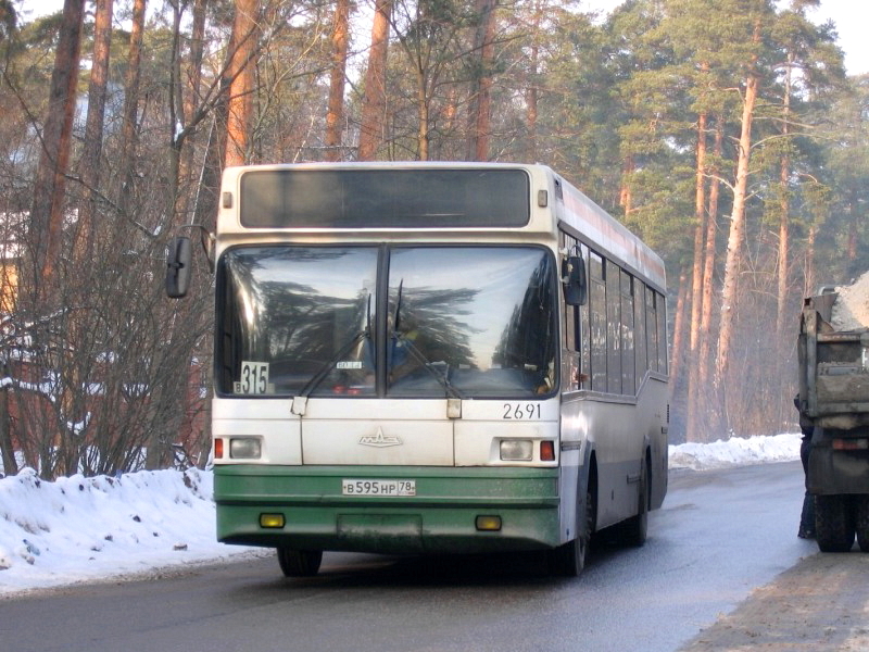 Санкт-Петербург, МАЗ-104.031 № 2691