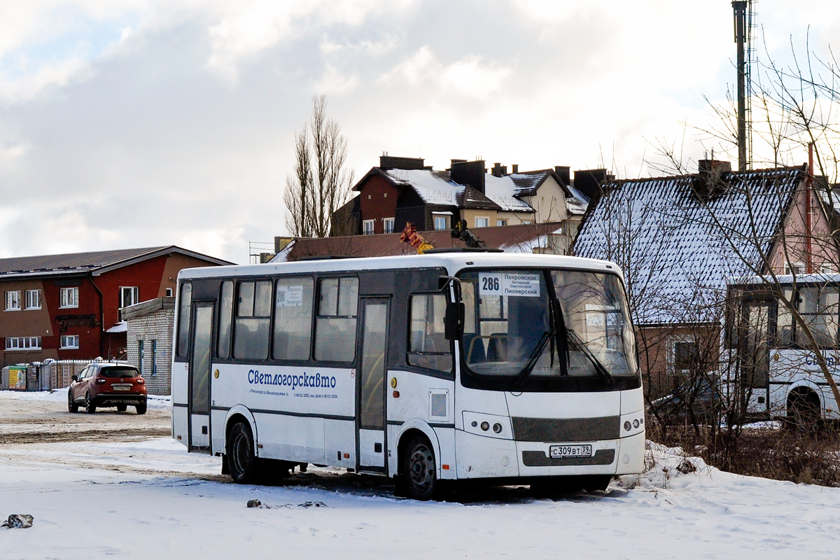 Калининградская область, ПАЗ-320412-05 "Вектор" № С 309 ВТ 39