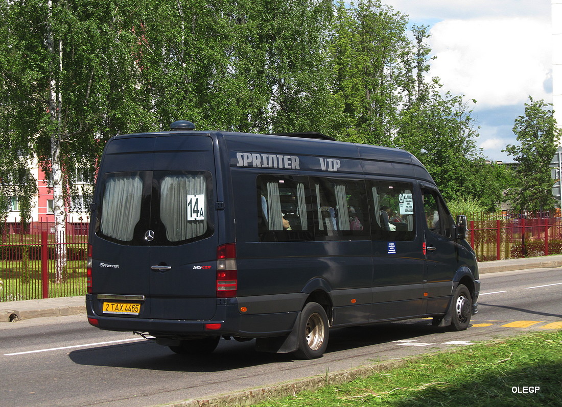 Витебская область, Самотлор-НН-323911 (MB Sprinter 515CDI) № 2 ТАХ 4465