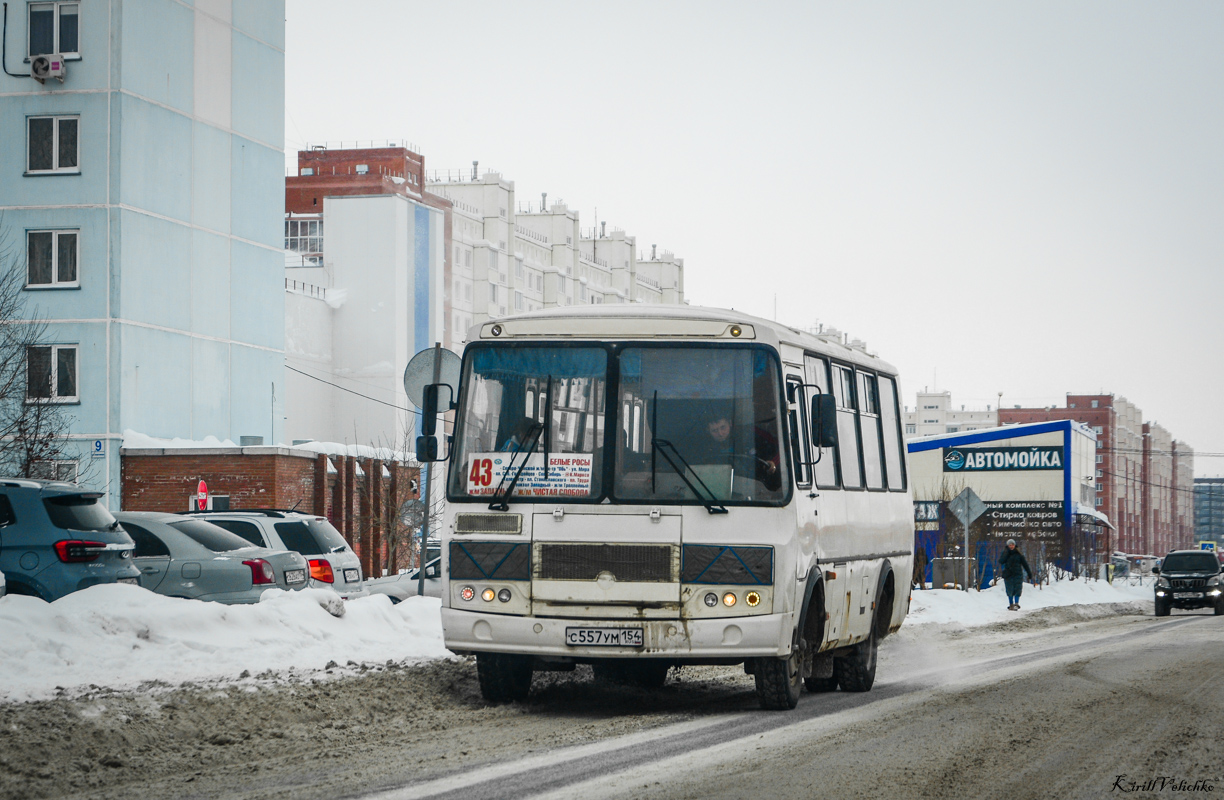 Новосибирская область, ПАЗ-32054 № С 557 УМ 154
