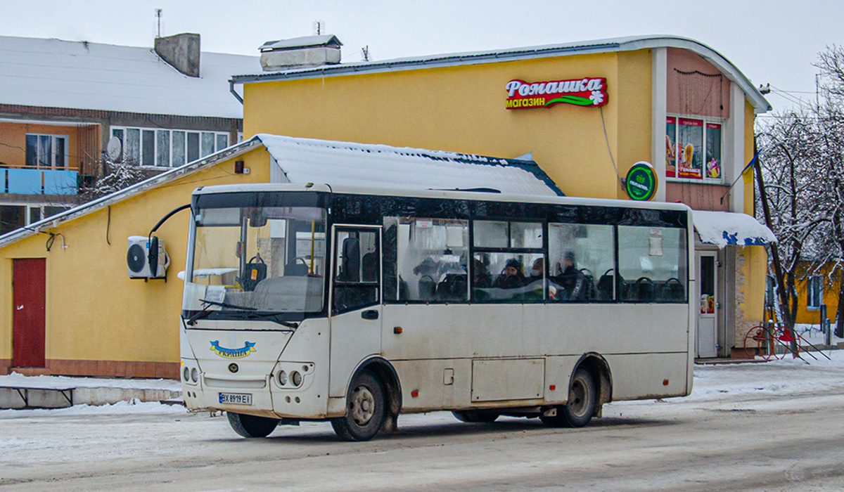 Хмельницкая область, Богдан А20110 № BX 8919 EI