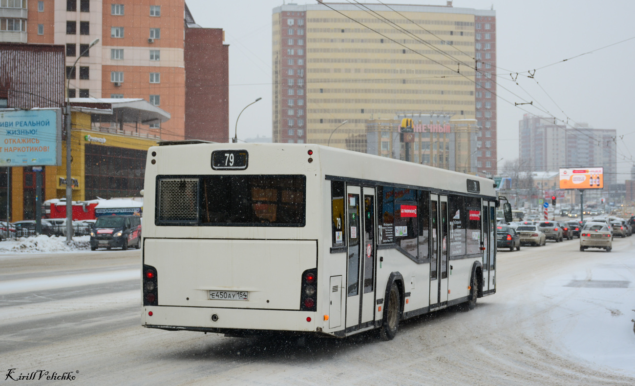 Новосибирская область, МАЗ-103.485 № Е 450 АУ 154