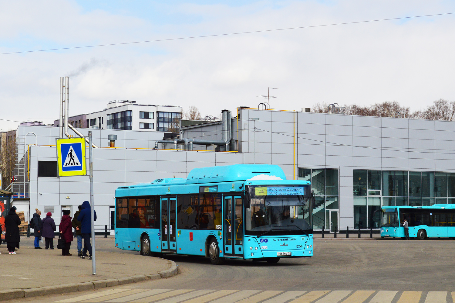 Санкт-Петербург, МАЗ-203.C46 № 34571