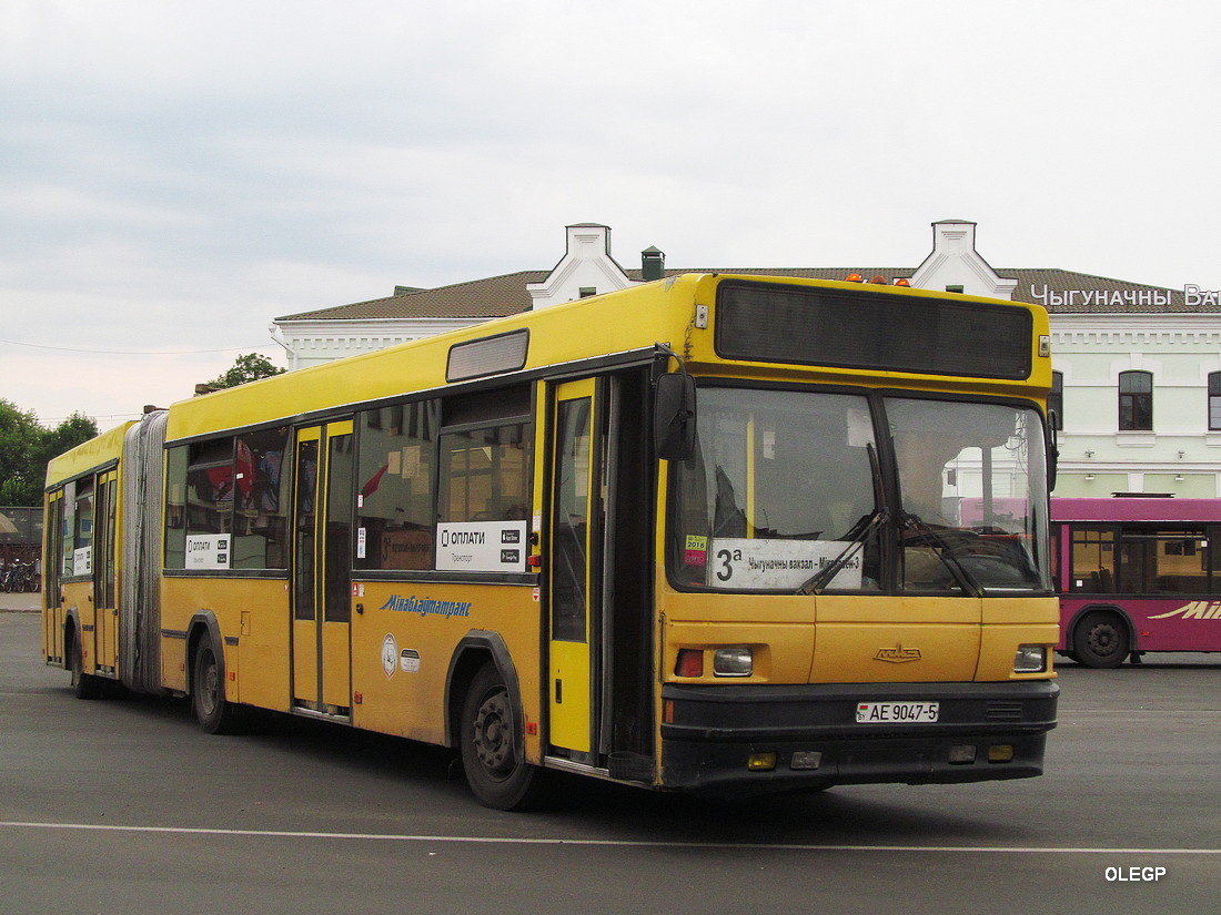 Минская область, МАЗ-105.065 № 14664