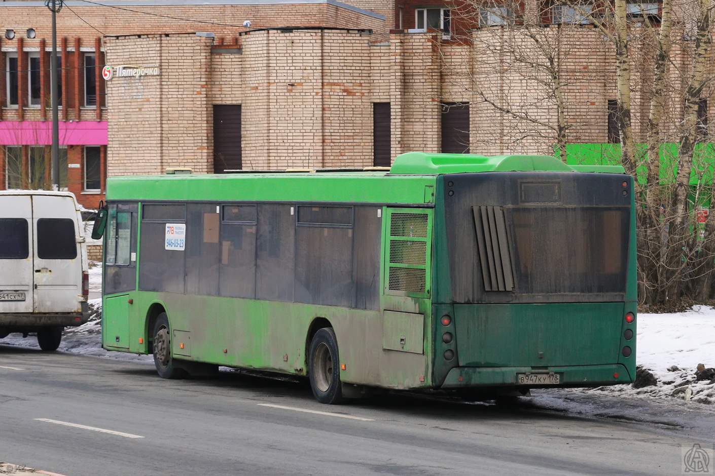 Санкт-Петербург, МАЗ-203.065 № В 947 КУ 178