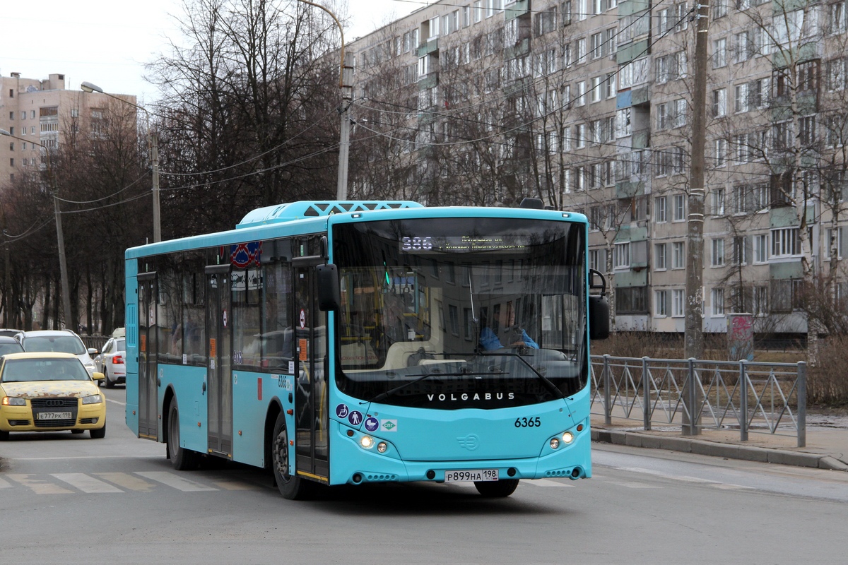 Санкт-Петербург, Volgabus-5270.G4 (LNG) № 6365