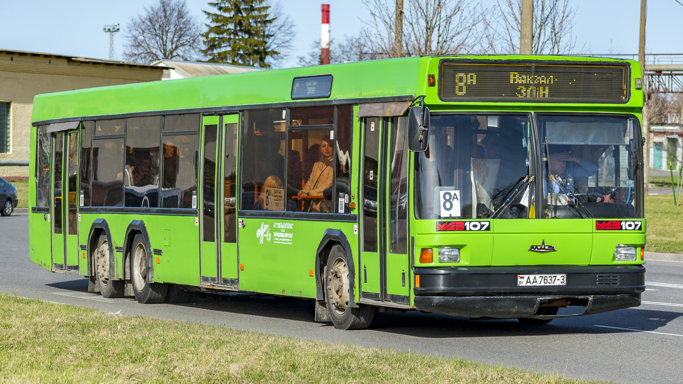 Гомельская область, МАЗ-107.066 № 11762