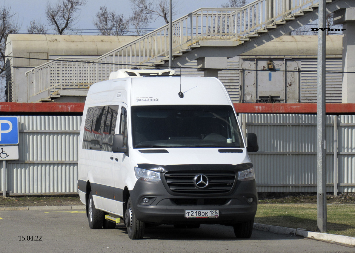 Приморский край, Луидор-223602 (MB Sprinter) № Т 218 ОК 125