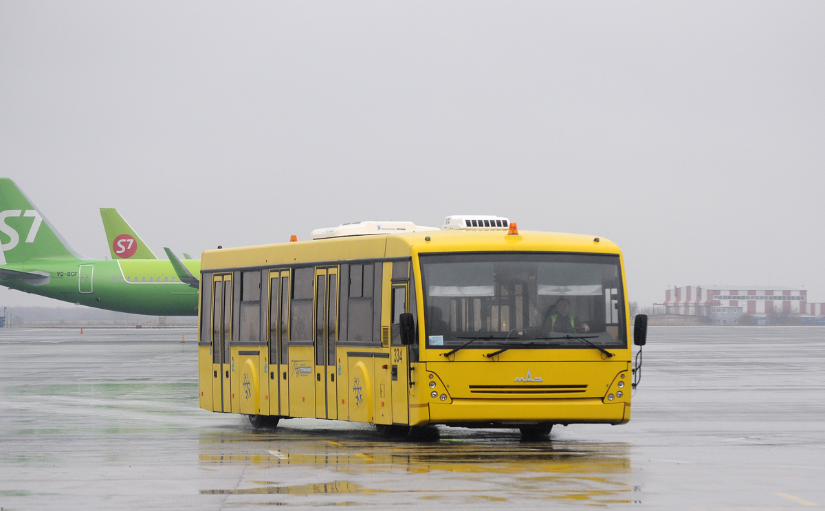 Новосибирская область, МАЗ-171.076 № 334