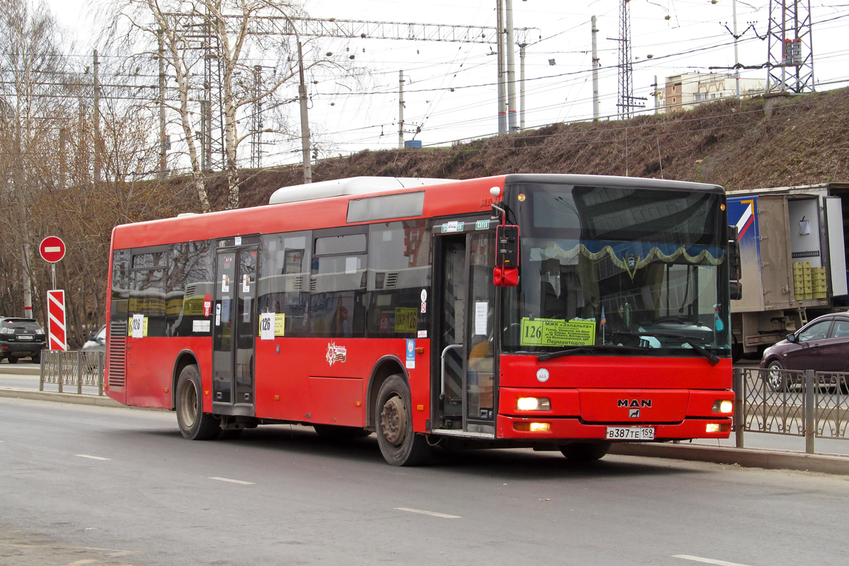 Пермский край, MAN A20 NÜ313 № В 387 ТЕ 159