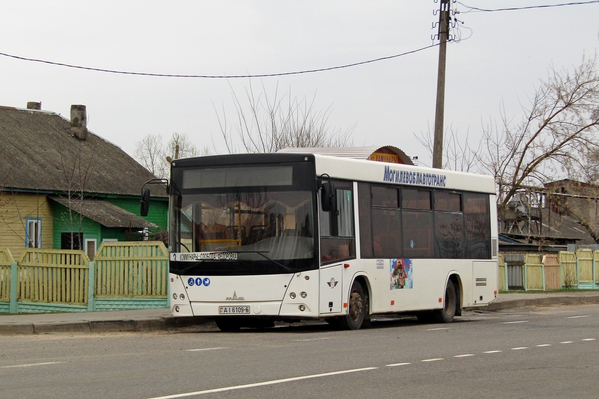 Могилёвская область, МАЗ-206.063 № АІ 6109-6