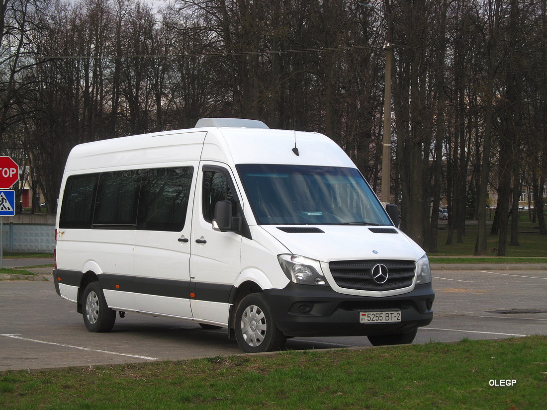 Витебская область, Юнилайн-3601 (MB Sprinter 316CDI) № 5255 ВТ-2 Витебская область, Юнилайн-3601 (MB Sprinter 316CDI) № 5255 ВТ-2