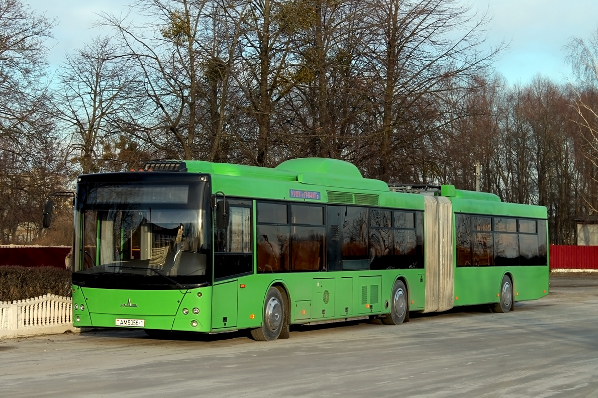 Brestská oblast, MAZ-215.069 č. АМ 5056-1