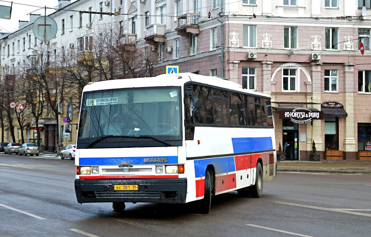 Воронежская область, Ikarus 253.52 № АХ 381 36