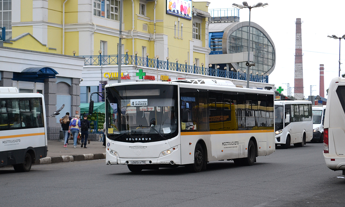 Московская область, Volgabus-5270.0H № О 065 СХ 750