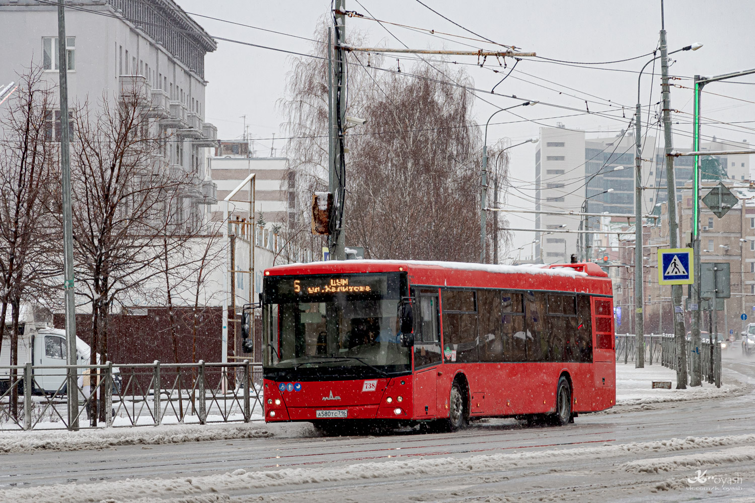 Татарстан, МАЗ-203.069 № 738