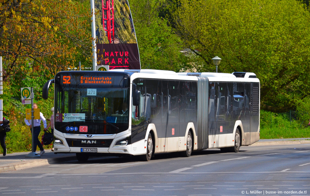 Бранденбург, MAN 18C Lion's City 18 NG360 EfficientHybrid № 560