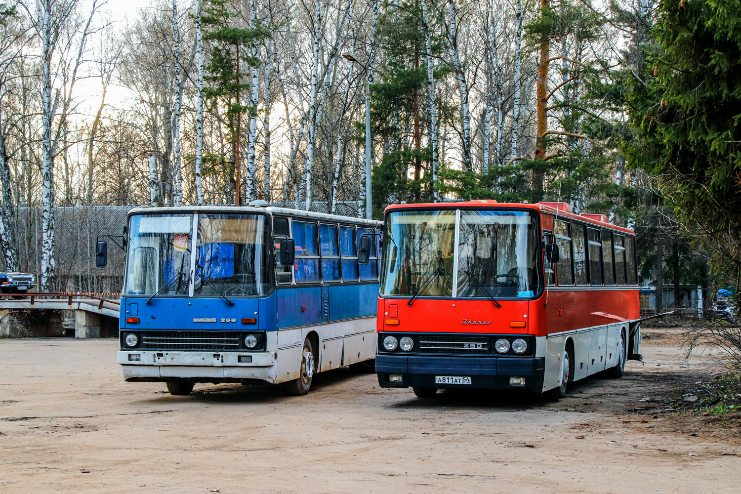Москва, Ikarus 250.93 № А 811 АТ 54
