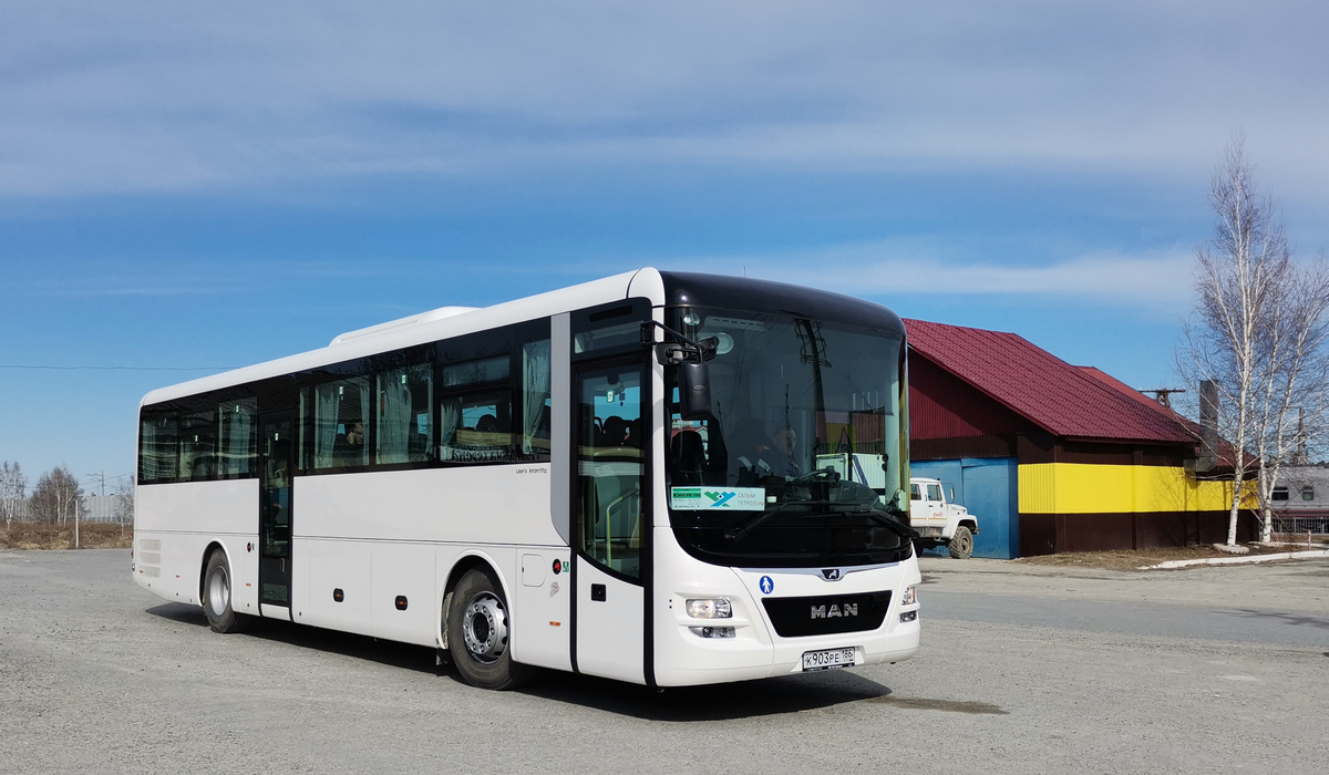 Ханты-Мансийский АО, MAN R60 Lion's Intercity ÜL290 № К 903 РЕ 186 Ханты-Мансийский АО, MAN R60 Lion's Intercity ÜL290 № К 903 РЕ 186