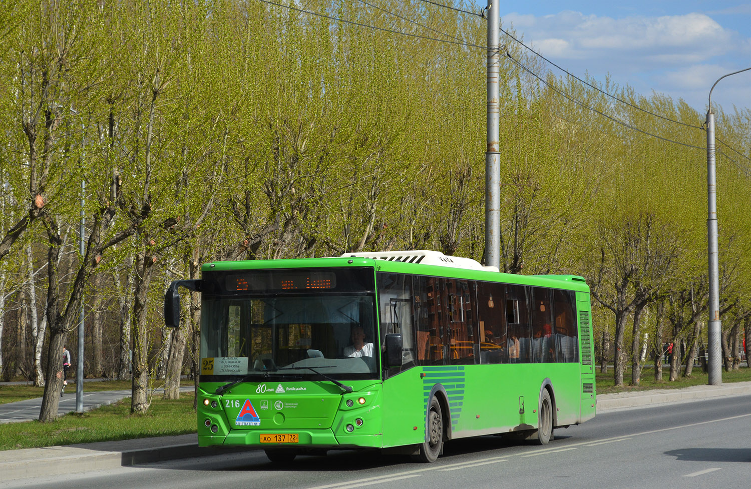 Tumen region, LiAZ-5292.65 # 216