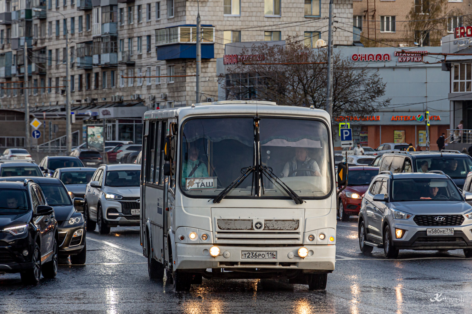 Татарстан, ПАЗ-320412-05 № Т 236 РО 116