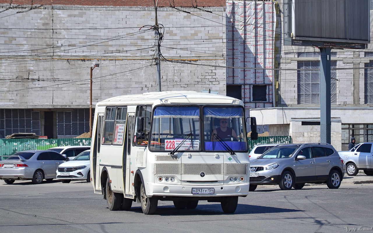 Новосибирская область, ПАЗ-320540-12 № Н 393 ТУ 154