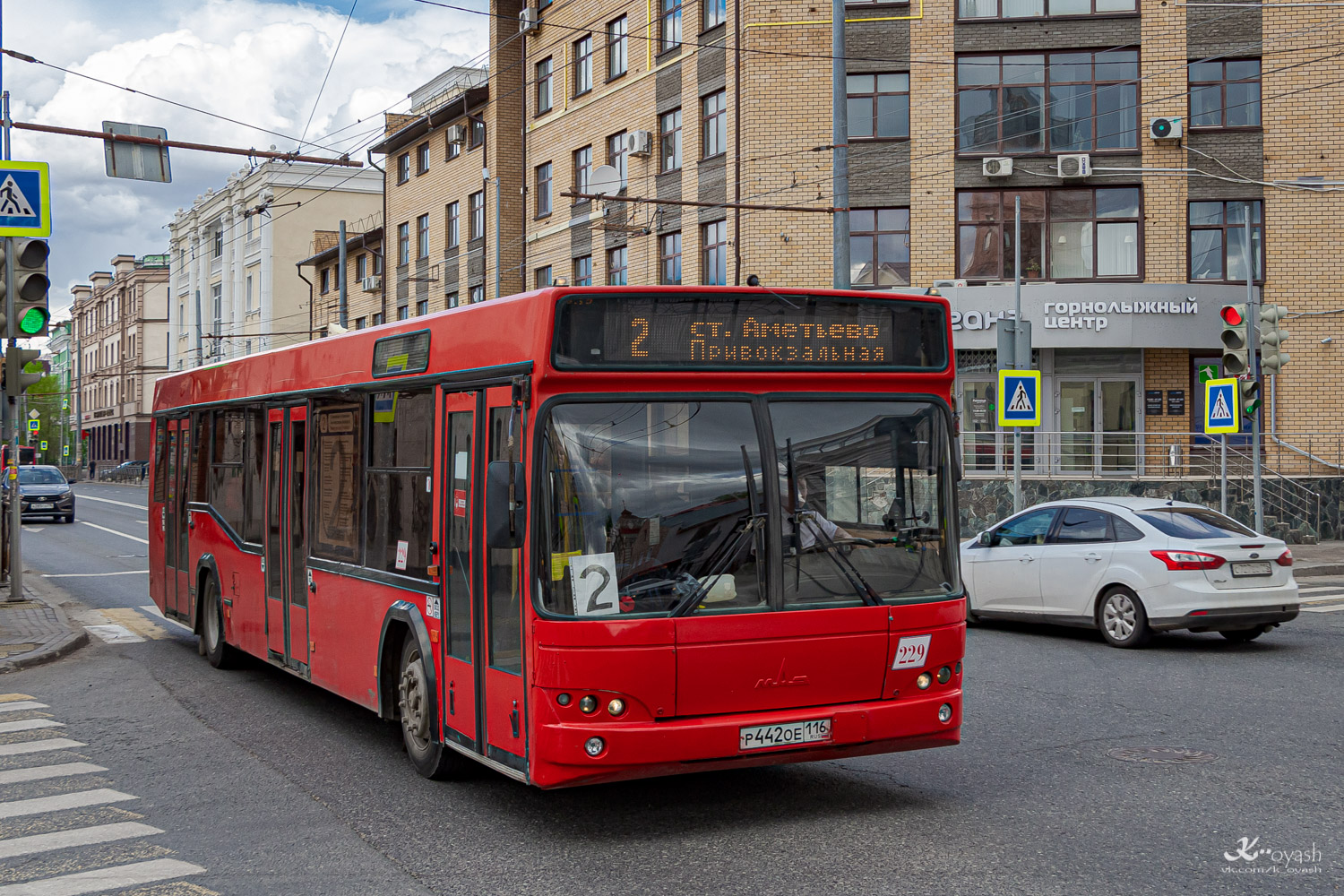 Татарстан, МАЗ-103.465 № 229