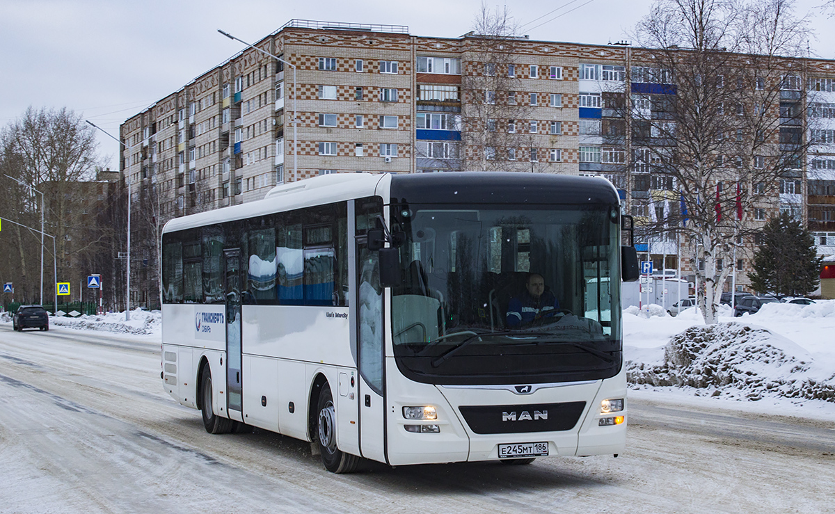 Томская область, MAN R60 Lion's Intercity ÜL290 № Е 245 МТ 186